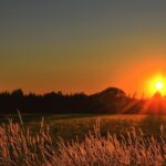 Why does the sun rise in the east and set in the west? - whyandwhy.com
